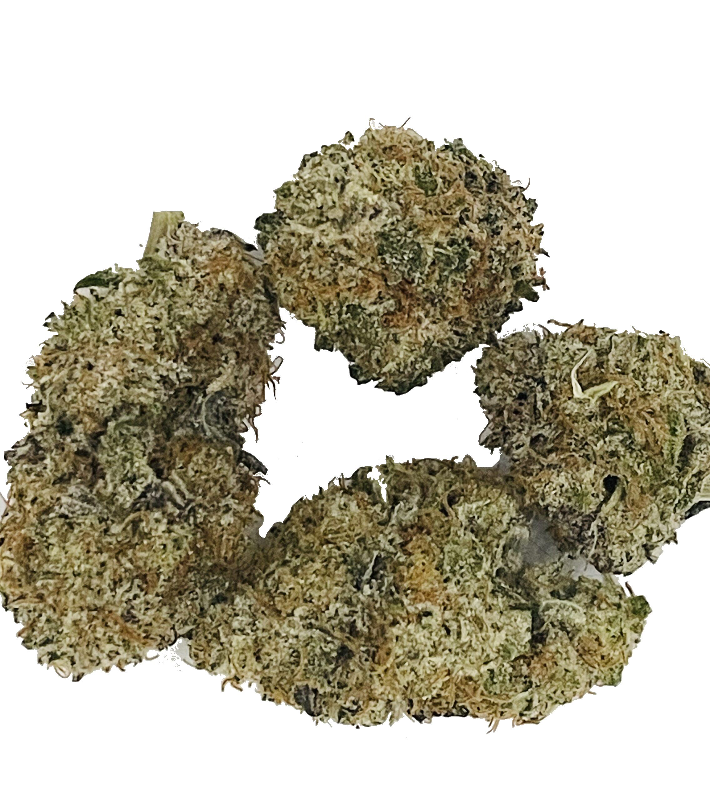 BH Blueberry Headband - Image 1