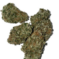 JZ Super Lemon Haze