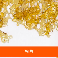 wifi-shatter-medicanna