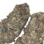 Tyson OG aka Knockout