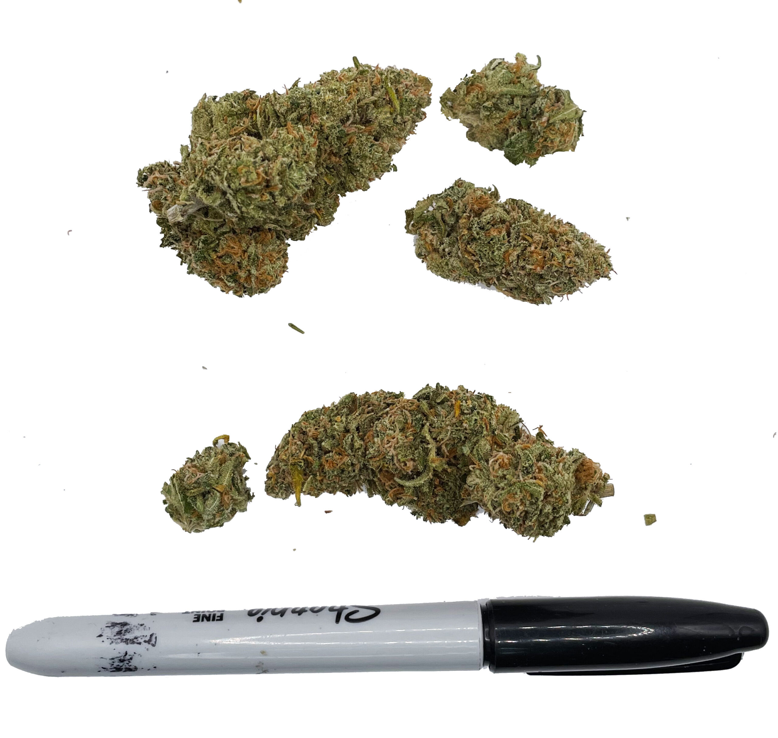 cbd-cure-medicanna