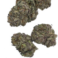 purple-rs