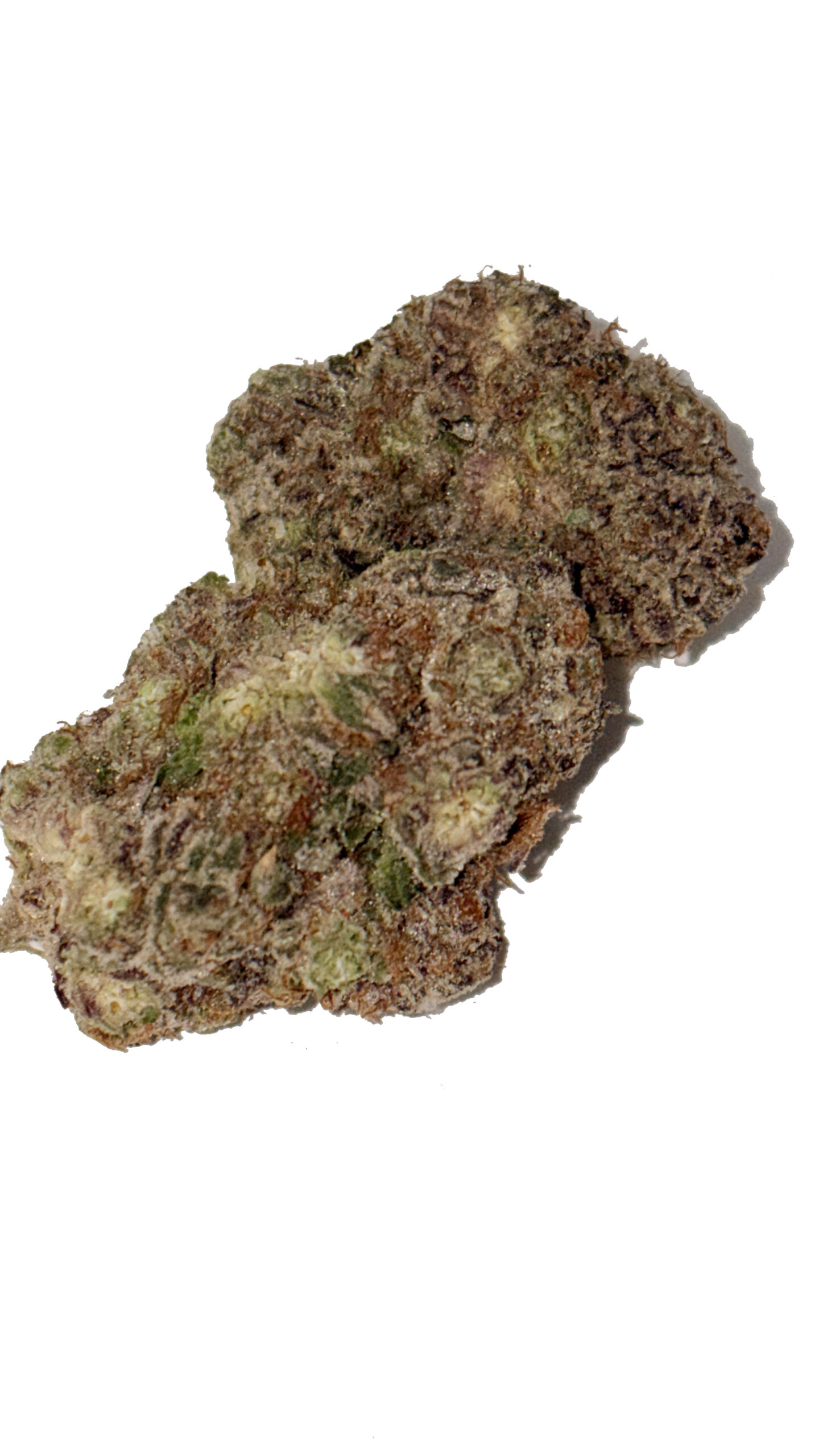 pbr2 Peanut Butter Rockstar - Image 1