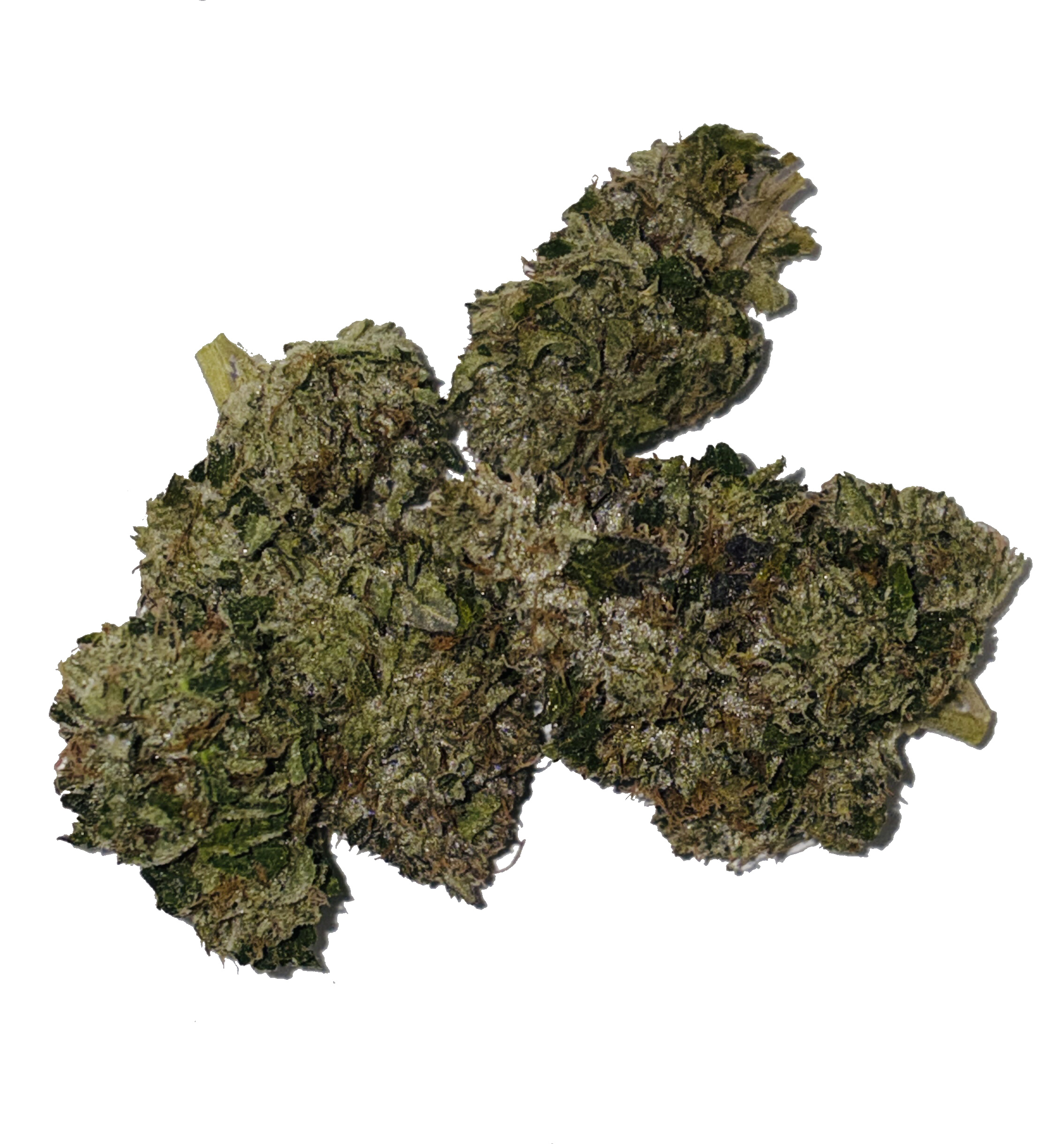 TimmyOG Timmy OG - Image 1