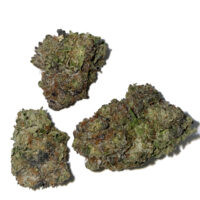 jetfuel2