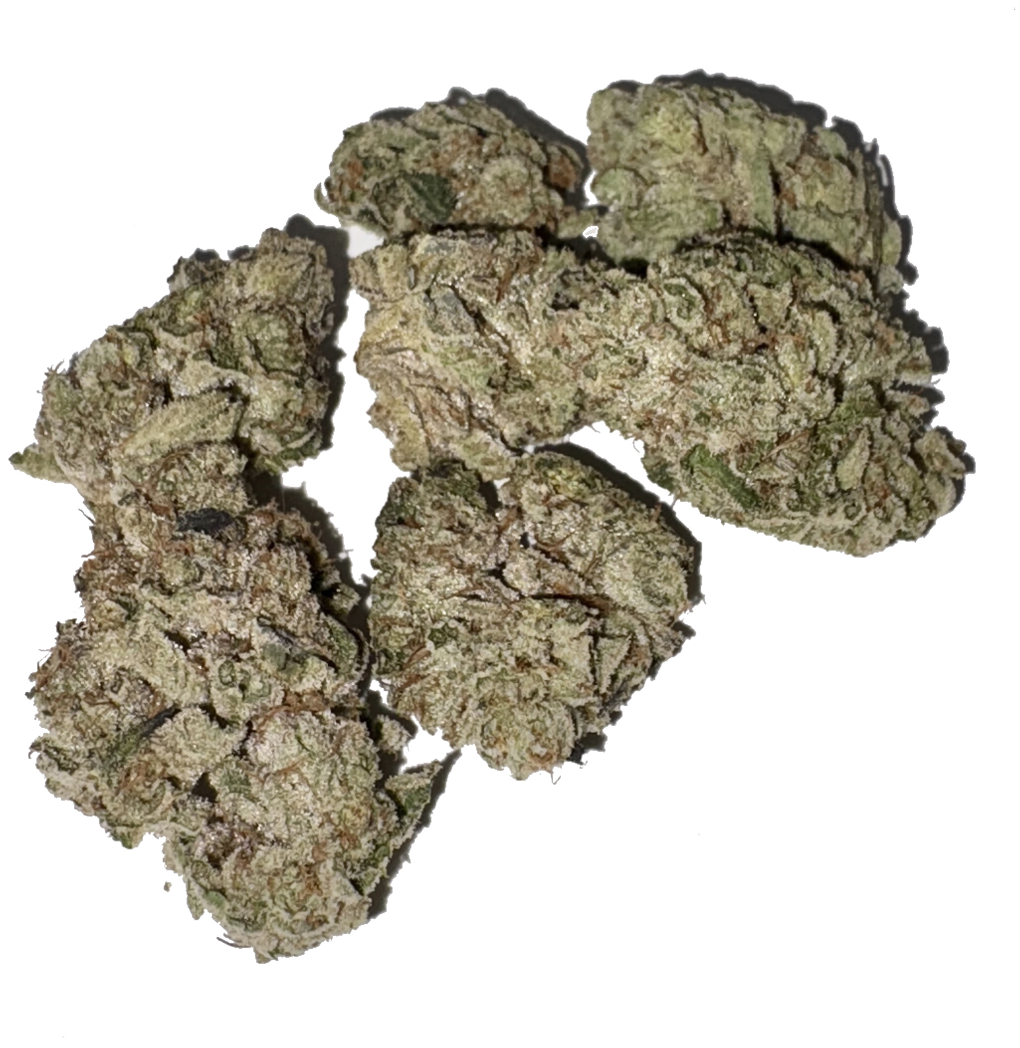 healerdiesel