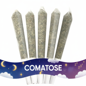 Pre-Rolled Comatose (0.5g) - 5 PACK