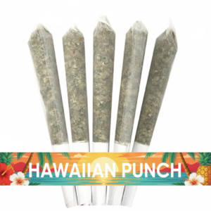 Pre-Rolled Hawaiian Punch (0.5g) - 5 PACK