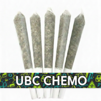 UBCCHEMOPRE