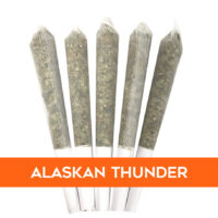 Alaskan-Thunder-P