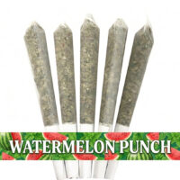 WATERMELONPUNCH