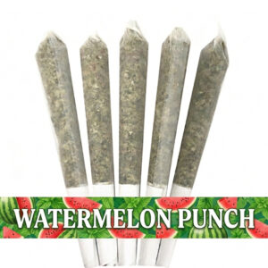 Pre-Rolled Watermelon Punch (0.5g) - 5 PACK